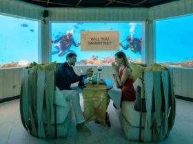 OZEN LIFE MAADHOO: номинация «Лучший романтический отель на Мальдивах» OZEN LIFE MAADHOO: номинация «Лучший романтический отель на Мальдивах»