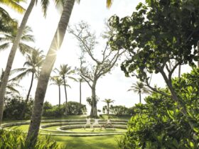 Весенняя перезагрузка с отелем The Ritz-Carlton Maldives, Fari Islands