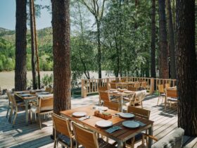 «Сосны» (Grand Chalet Altay): номинация «Лучший ресторан при отеле» «Сосны» (Grand Chalet Altay): номинация «Лучший ресторан при отеле»