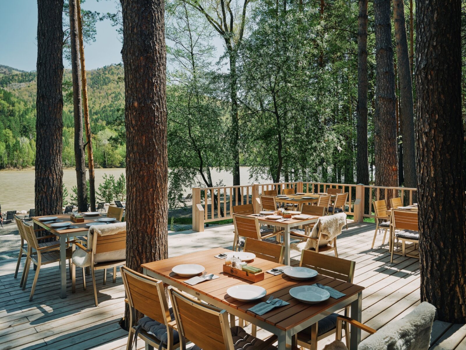 «Сосны» (Grand Chalet Altay): номинация «Лучший ресторан при отеле»