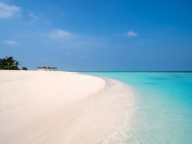 Для тех, кто быстро устает от пляжного отдыха: Мальдивы в Kuredhivaru Resort & Spa Для тех, кто быстро устает от пляжного отдыха: Мальдивы в Kuredhivaru Resort & Spa