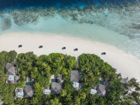 Курорт The Halcyon Private Isles Maldives, Autograph Collection зовет покорять океан и исследовать морские просторы на экваторе Курорт The Halcyon Private Isles Maldives, Autograph Collection зовет покорять океан и исследовать морские просторы на экваторе