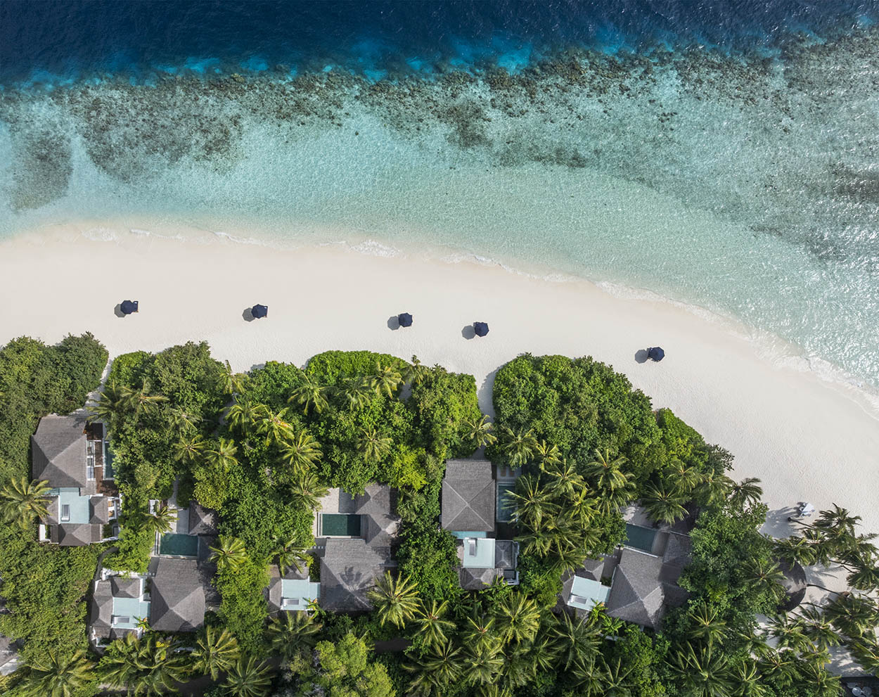 Курорт The Halcyon Private Isles Maldives, Autograph Collection зовет покорять океан и исследовать морские просторы на экваторе
