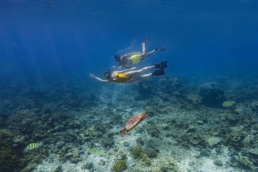 Курорт The Halcyon Private Isles Maldives, Autograph Collection зовет покорять океан и исследовать морские просторы на экваторе